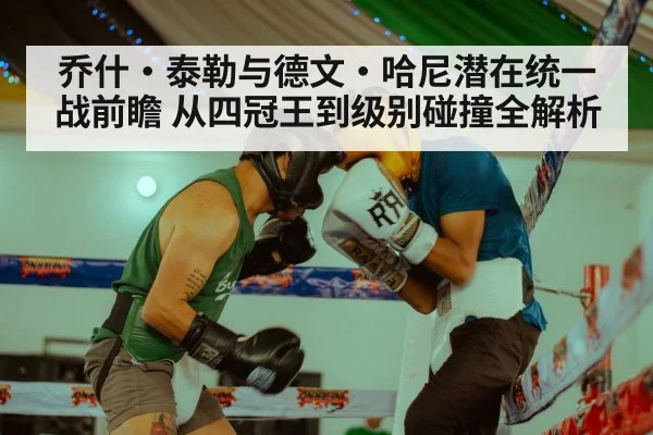 乔什·泰勒与德文·哈尼潜在统一战前瞻 从四冠王到级别碰撞全解析